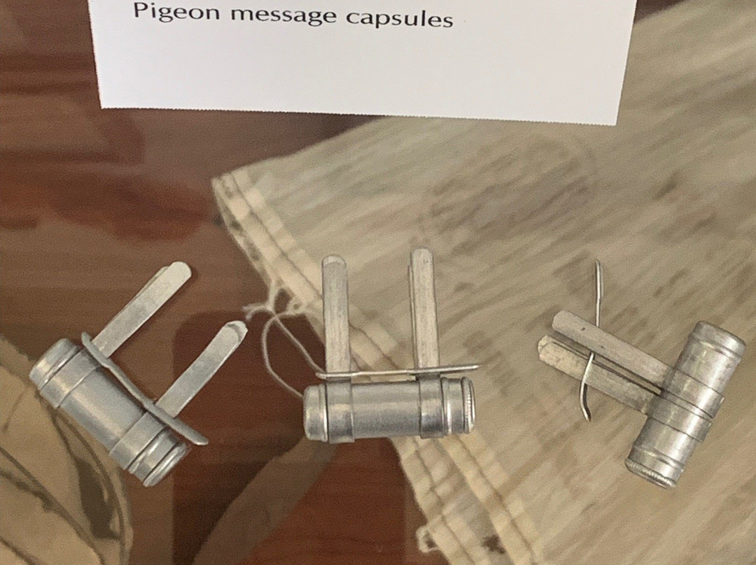 The American Pigeon Museum & Library-俄克拉何马城必去景点