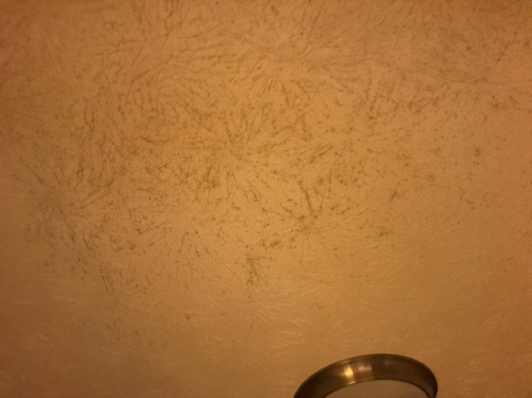 Best Western Fredericksburg主图