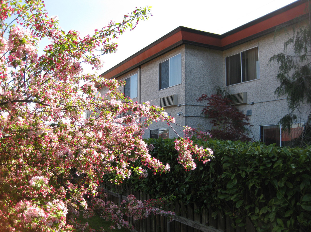 Acorn Motor Inn主图