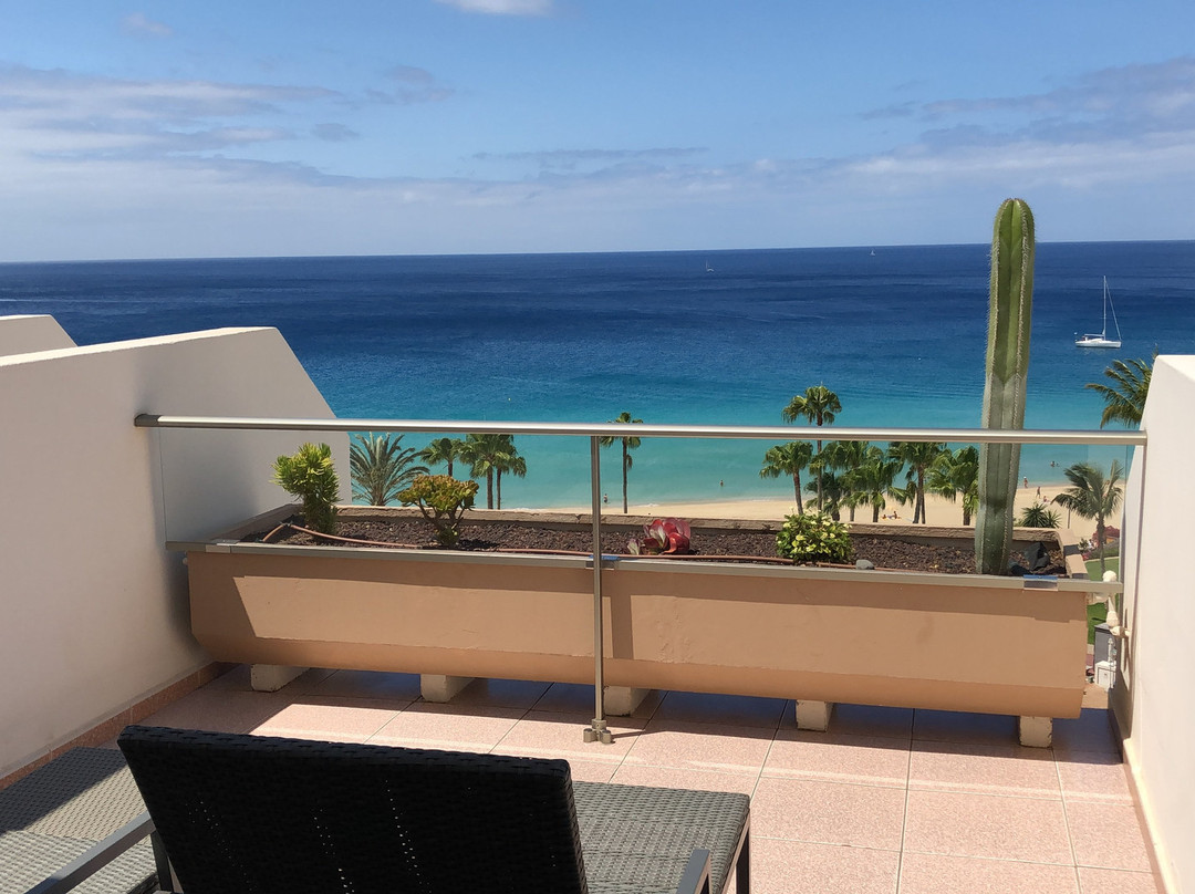 Hotel Riu Calypso主图