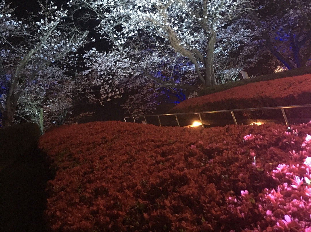 Amagajo Park景点图片