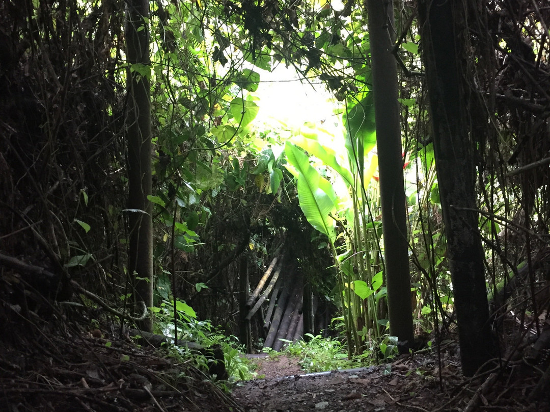 Bonita Farm-佩雷拉必去景点