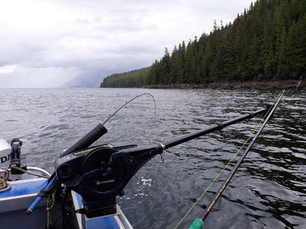 Night N Gale Charters-Wrangell必去景点