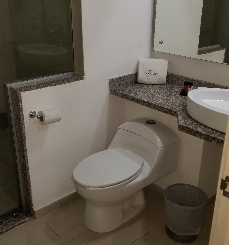 Hangar Inn Guadalajara Aeropuerto主图