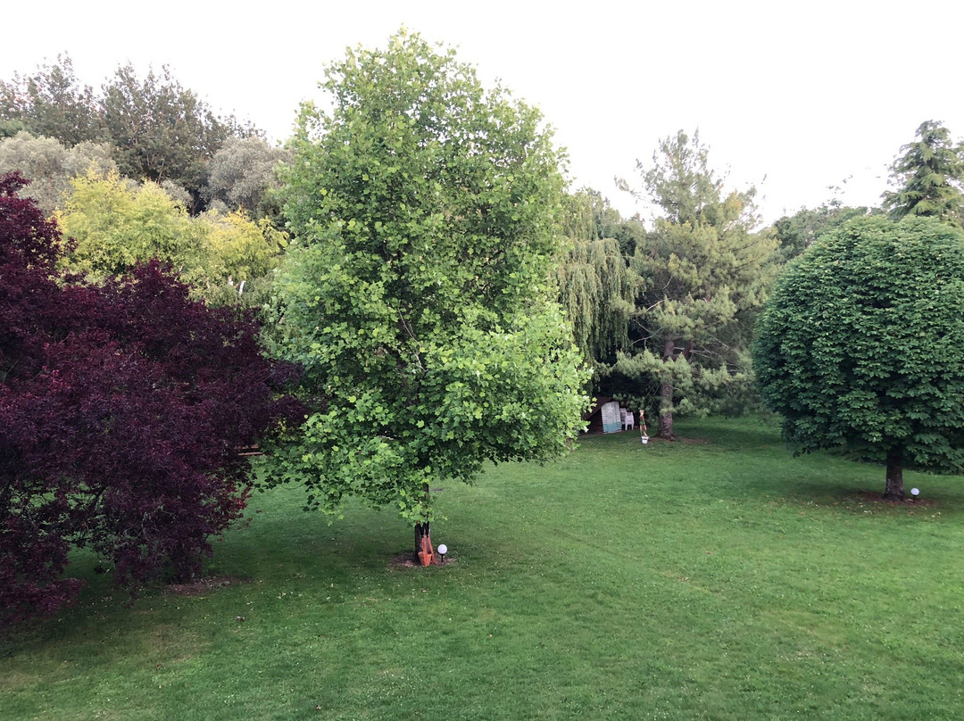 Domaine De Jacquelin主图