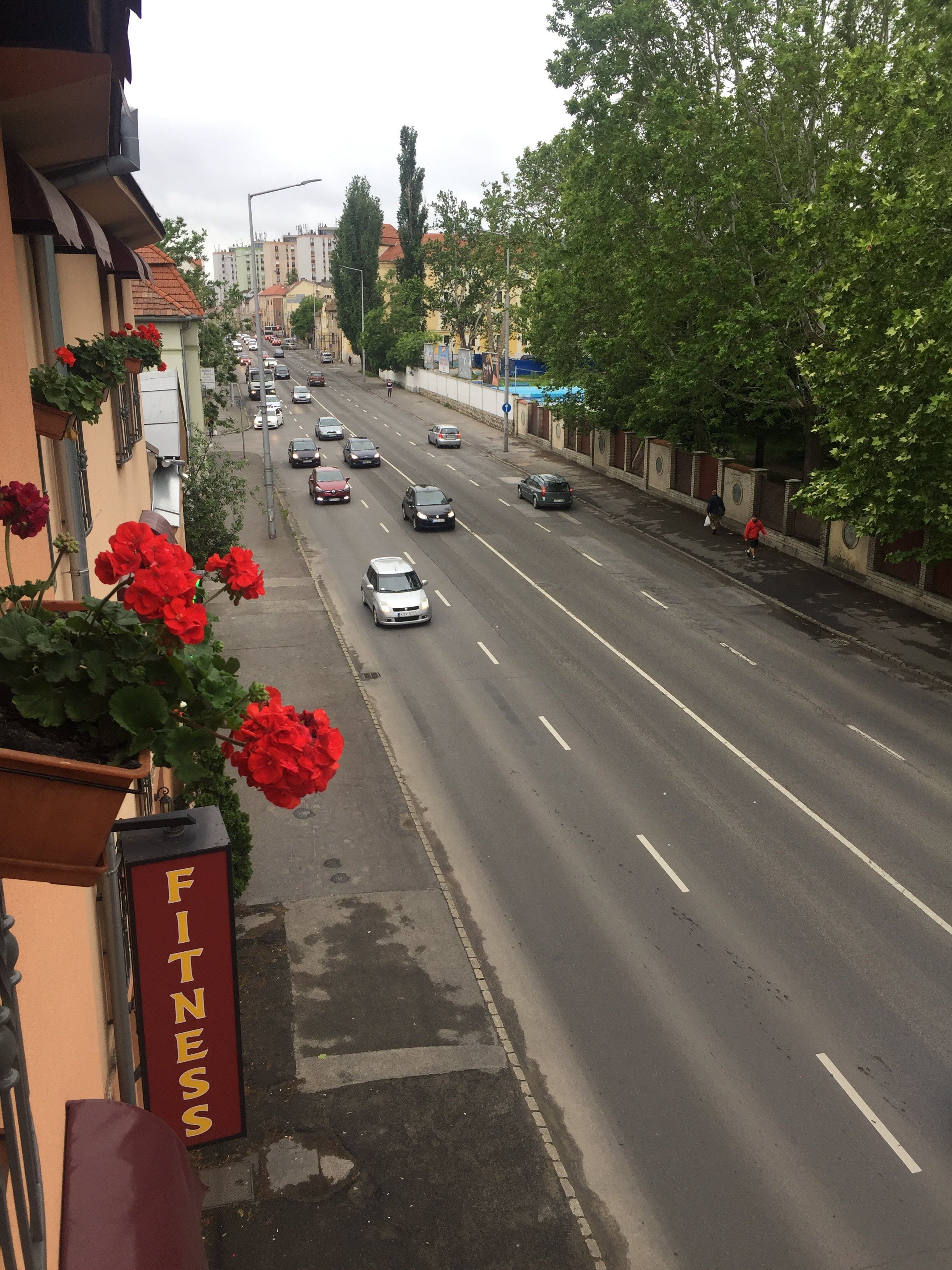 Napraforgó Wellness Ház es Panzió-酒店景观