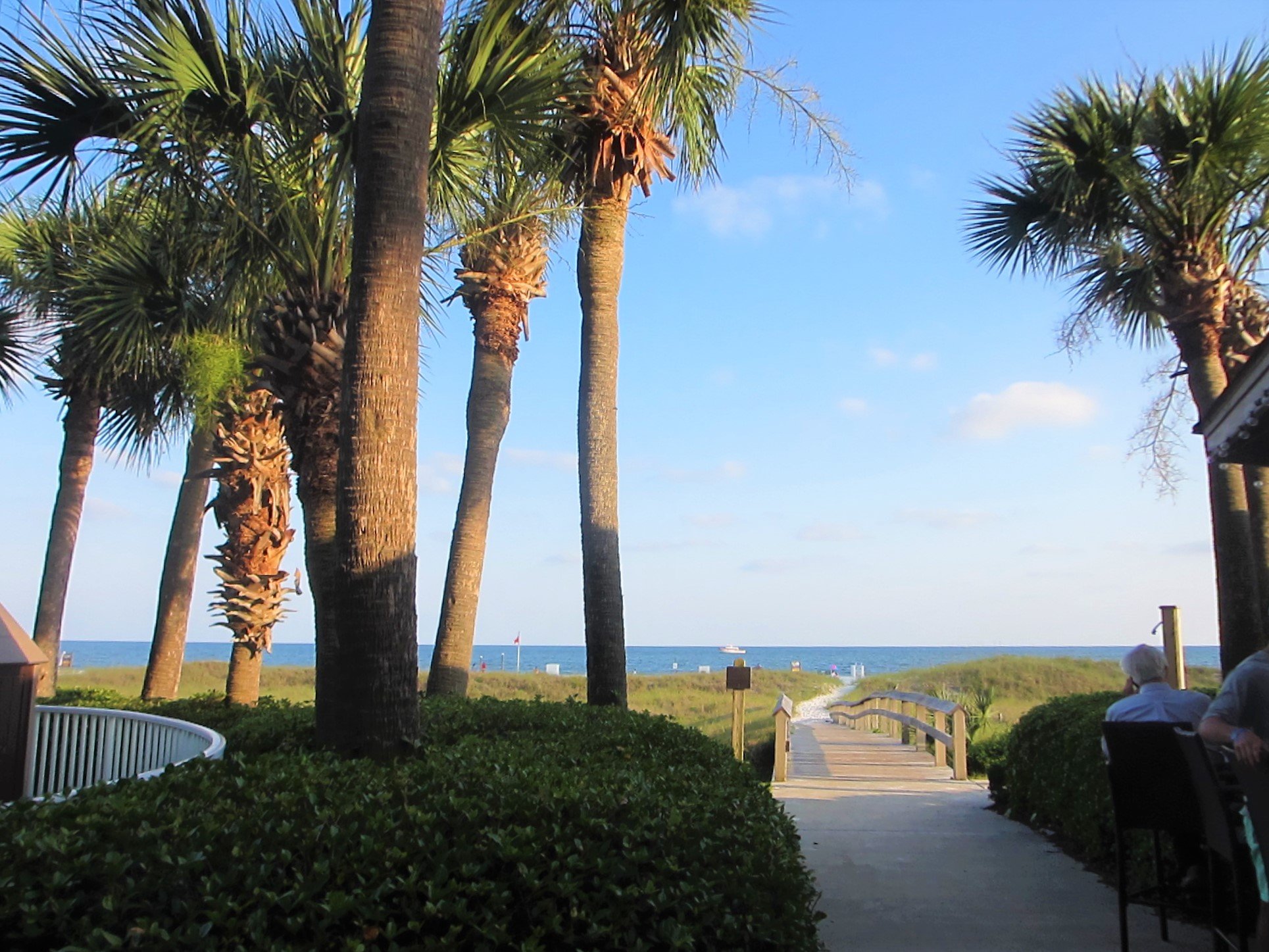 Island House Hotel Orange Beach - a DoubleTree by Hilton-泳池