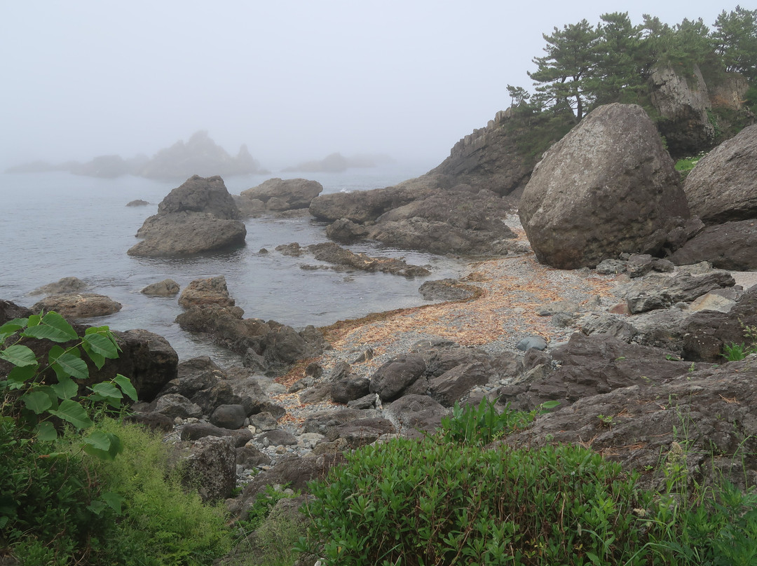 Yodo Pine Grove-八户市必去景点