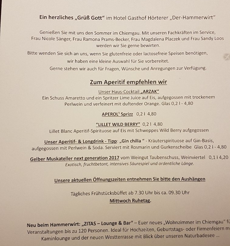Hotel Gasthof Hoerterer der Hammerwirt主图