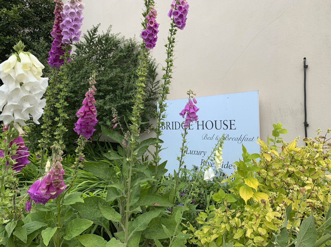 The Bridge House Hotel主图