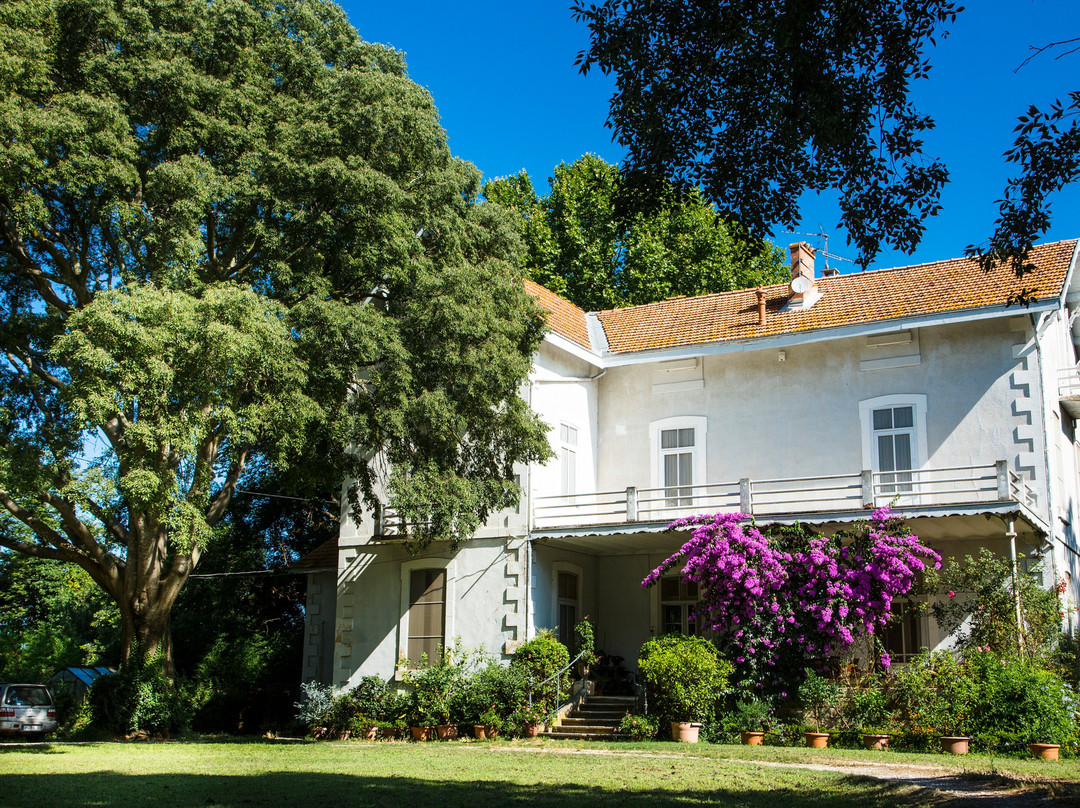 Château de Nages - Famille Gassier景点图片