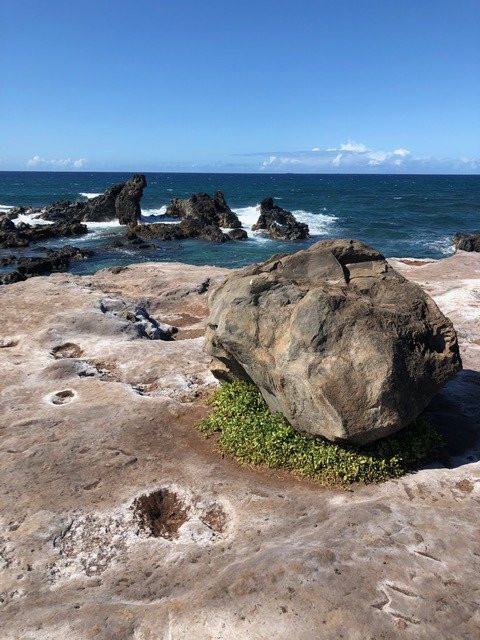 霍欧津帕海滩公园景点图片