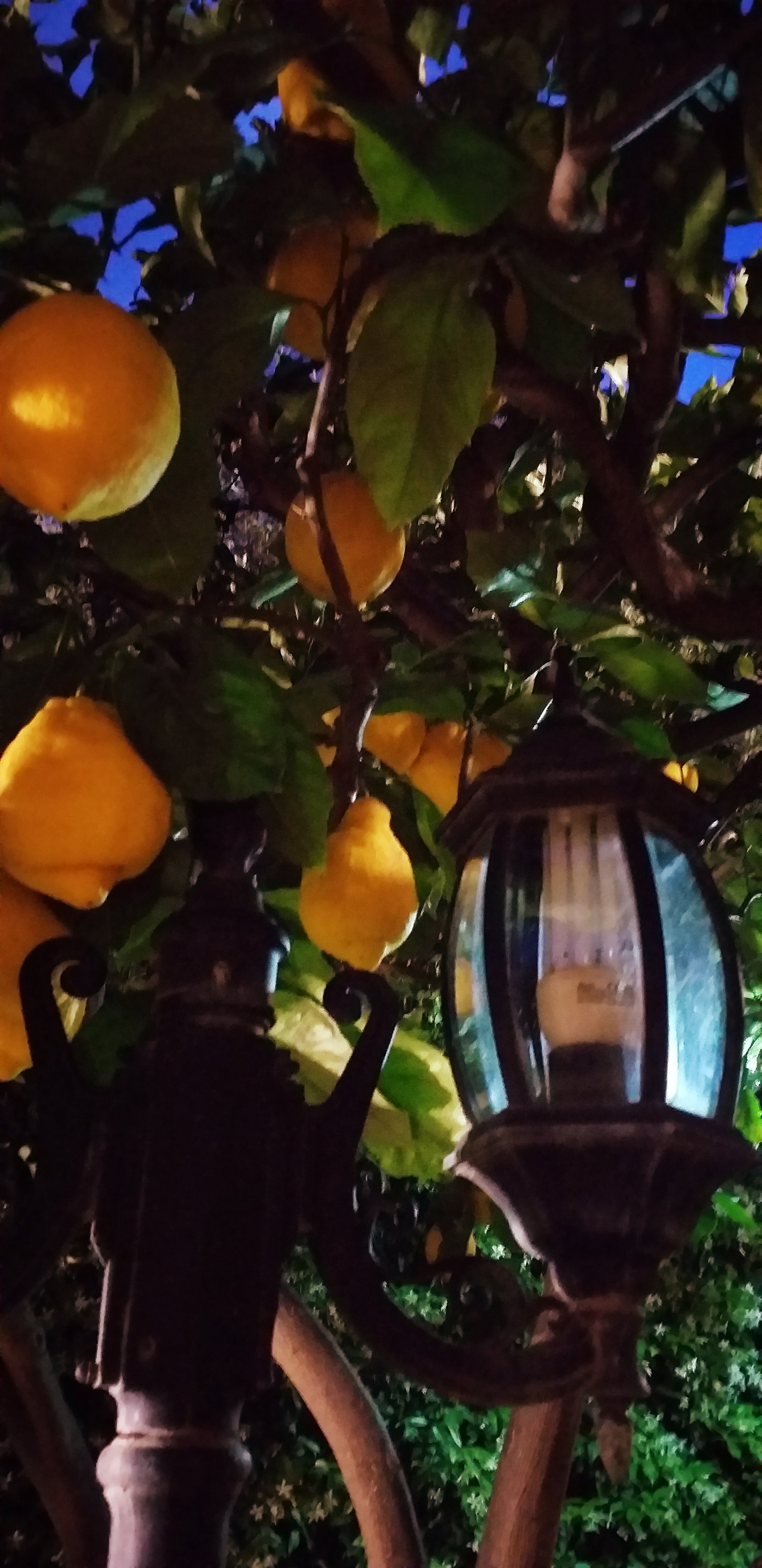 朱利亚住宿加早餐酒店-浴室