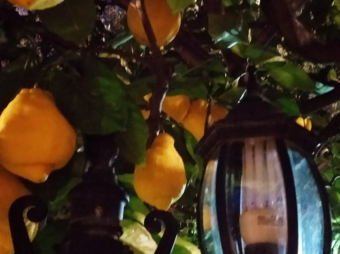 朱利亚住宿加早餐酒店主图