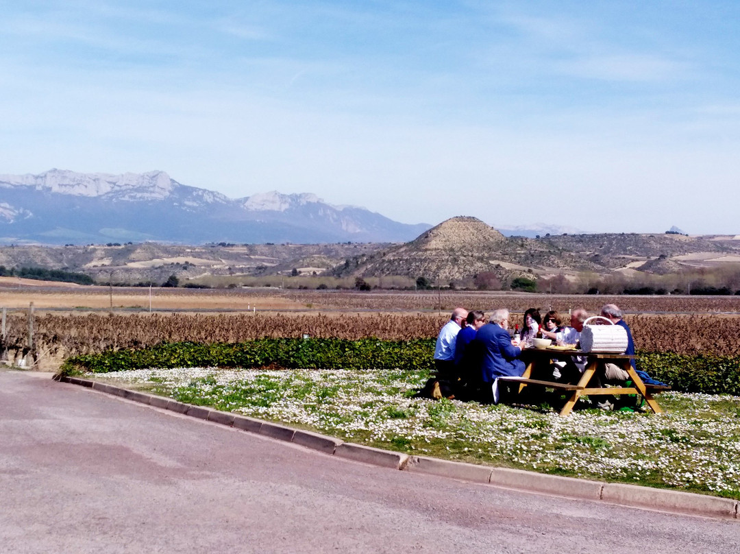 Bodegas Amézola de la Mora景点图片