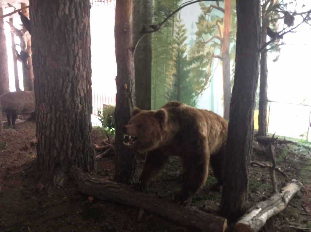 Museum of Nature-Borovoe必去景点