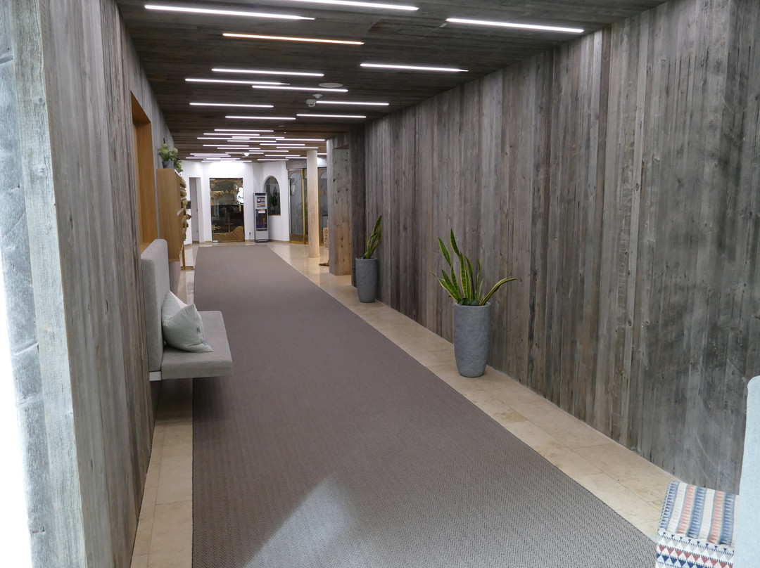 Hotel Der Waldhof主图