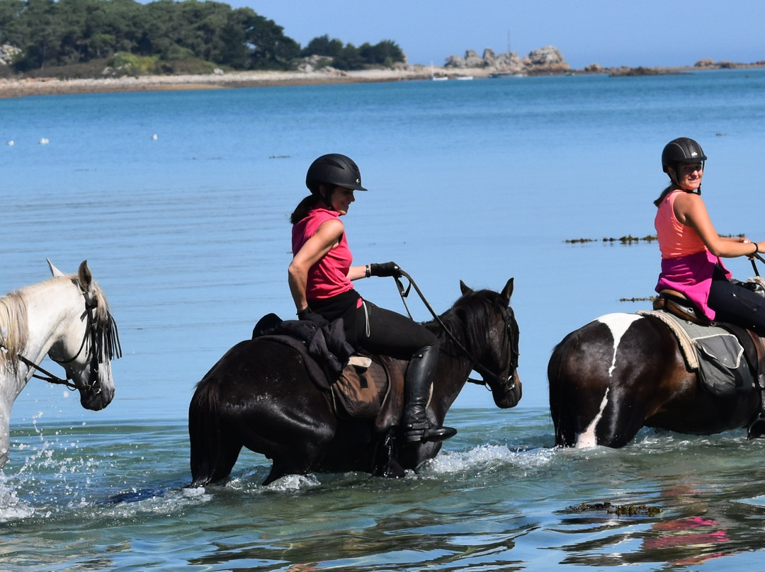 Ferme Equestre La Haie Du-Saint-Hernin必去景点
