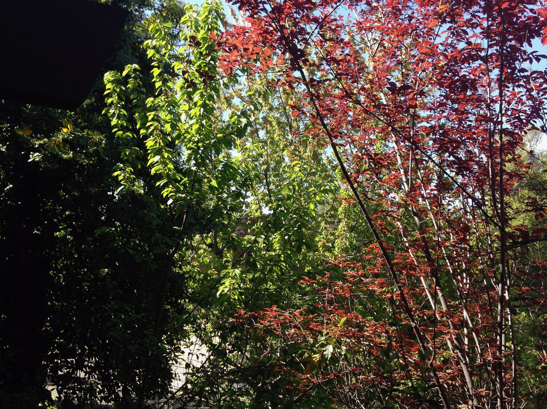 贝斯特韦斯特优胜美地威酒店主图