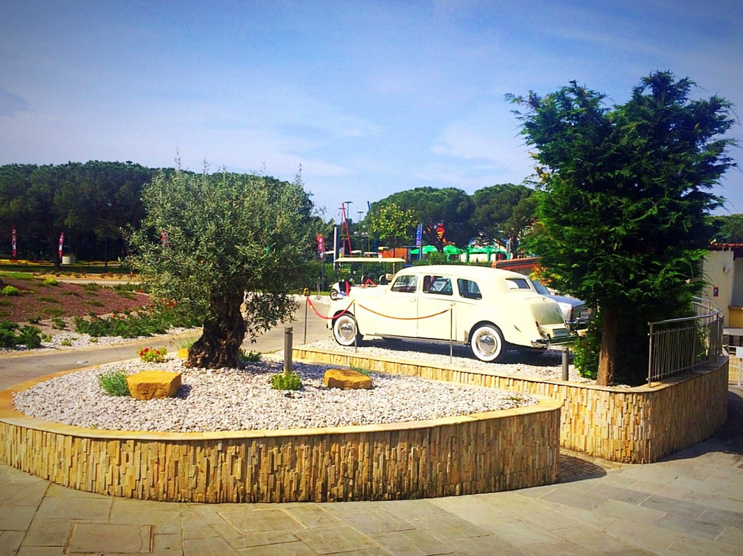 Portorose Boutique Hotel主图