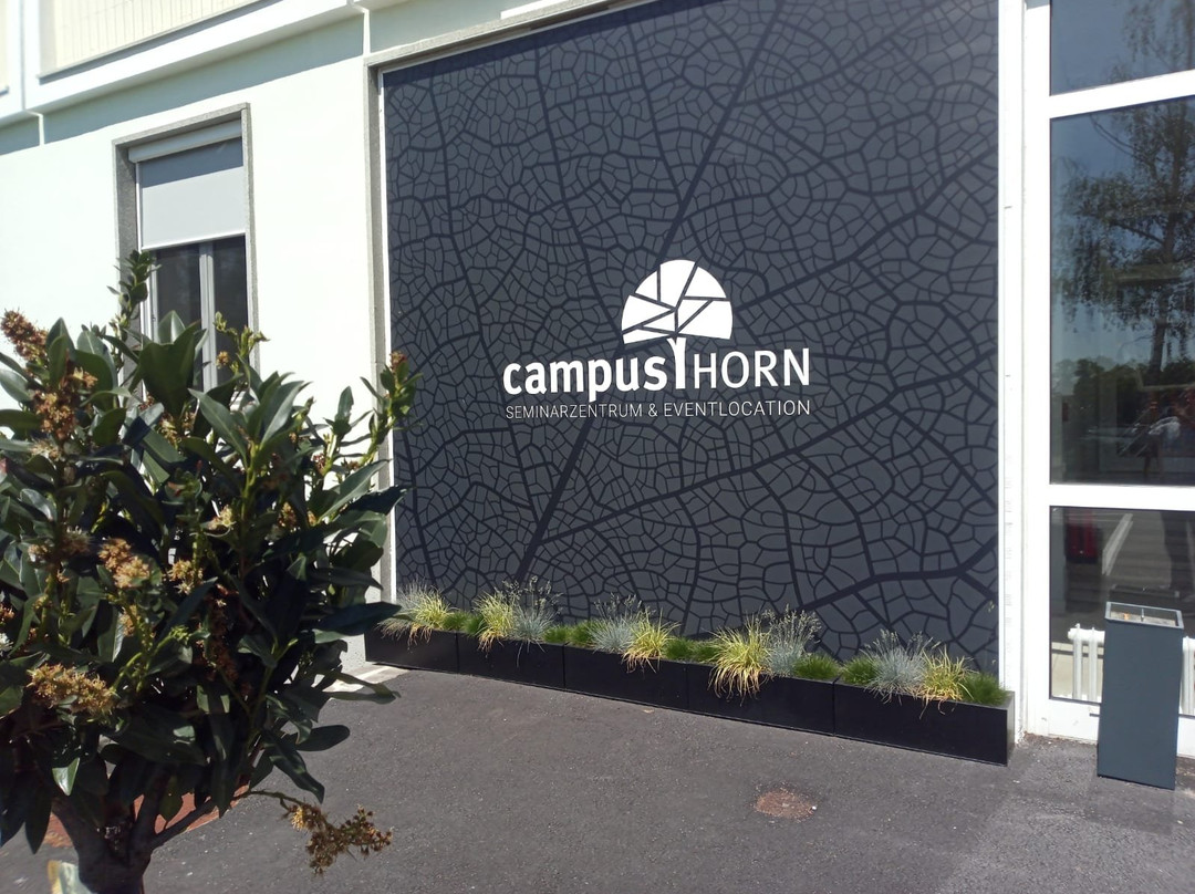 Campus Horn主图
