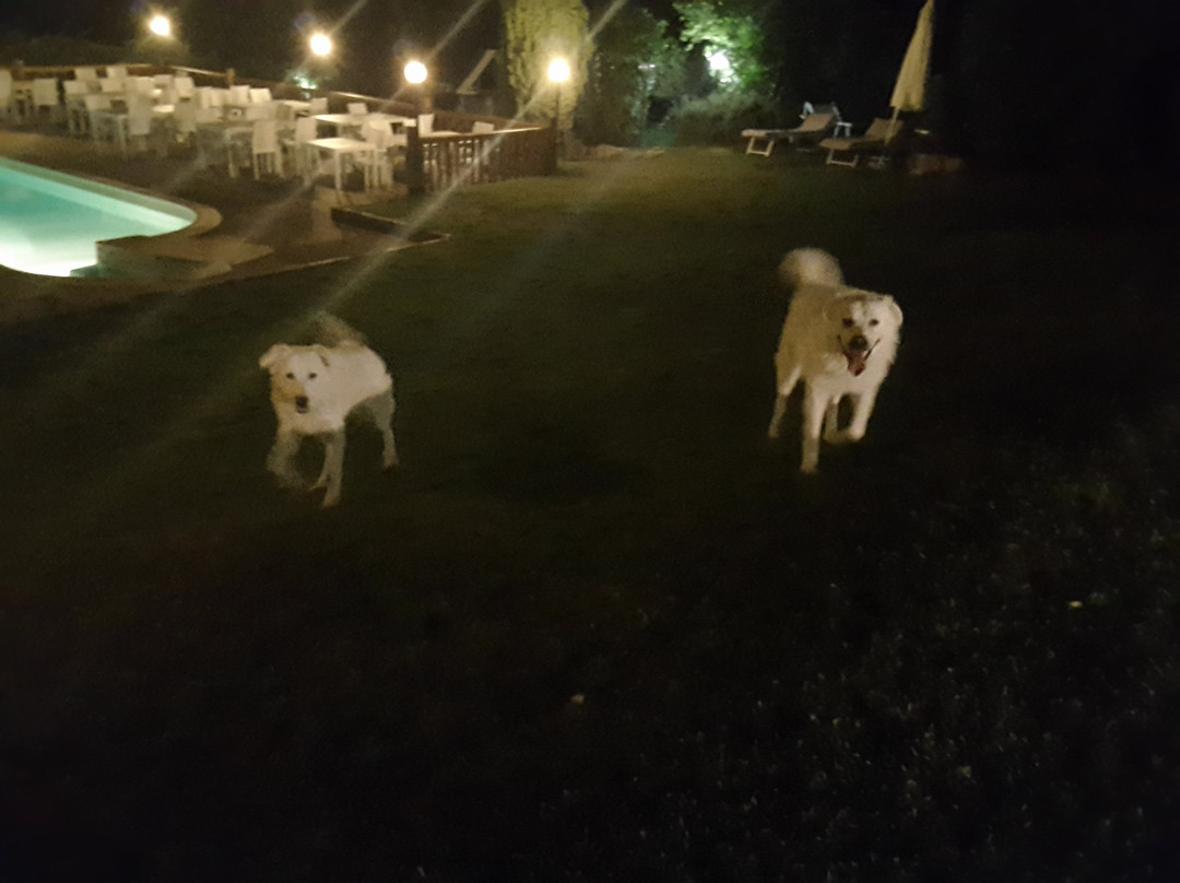 Agriturismo La Gioia主图