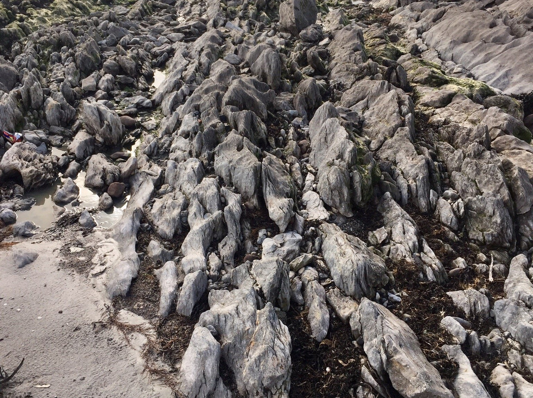 Fenit Lighthouse-特拉利必去景点