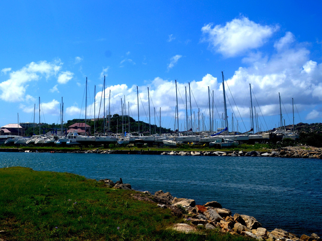 Virgin Gorda Yacht Harbour景点图片