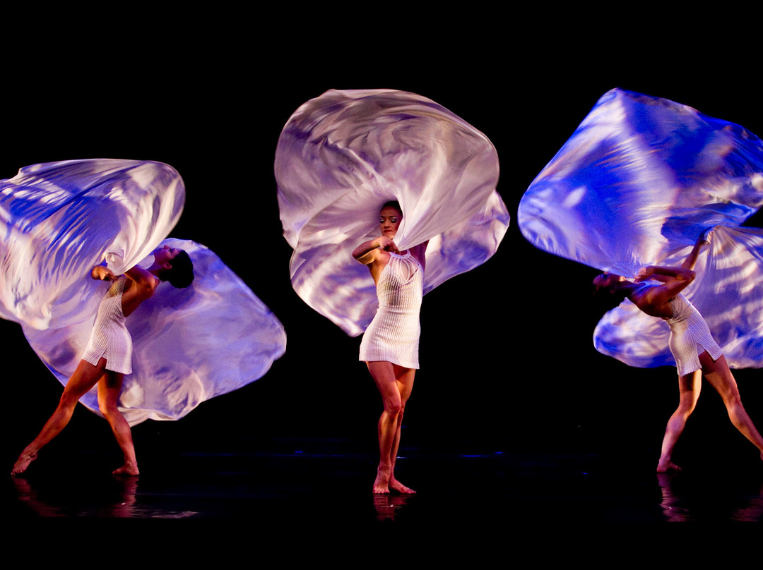 White Bird-波特兰必去景点