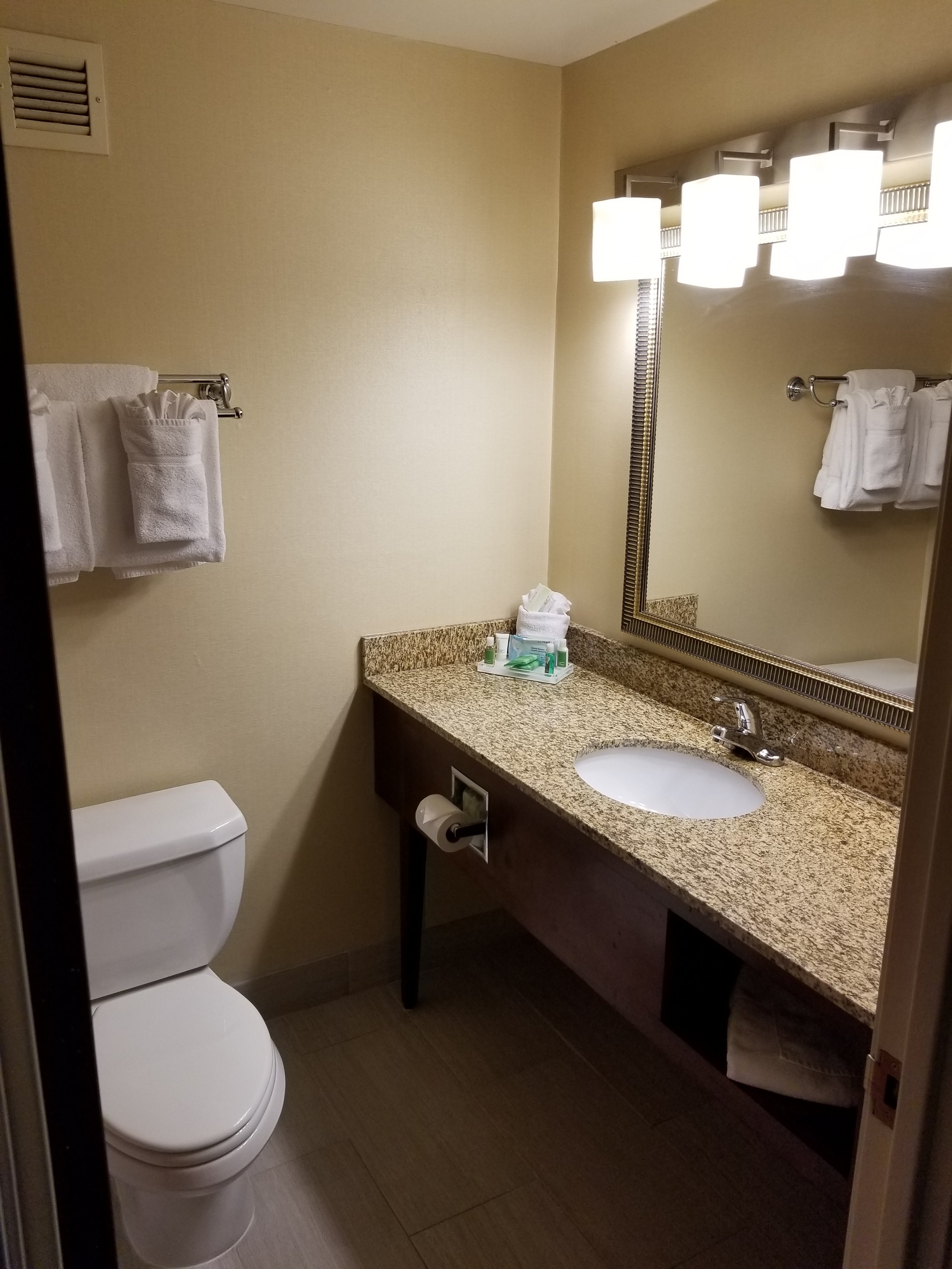 Holiday Inn Akron West - Fairlawn, an IHG hotel-浴室