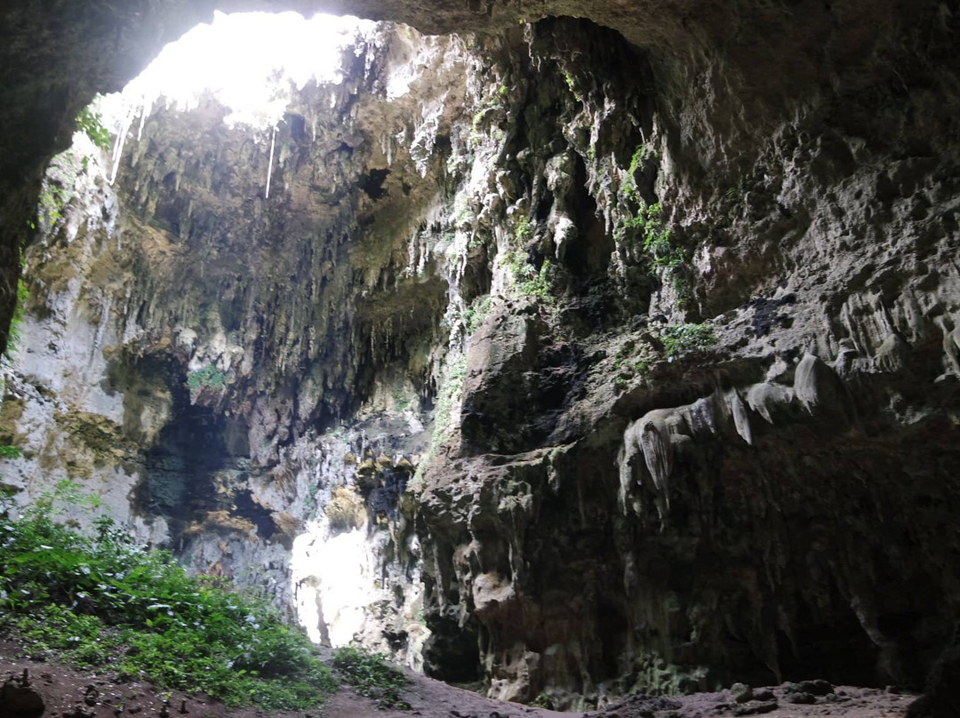 Callao Cave景点图片