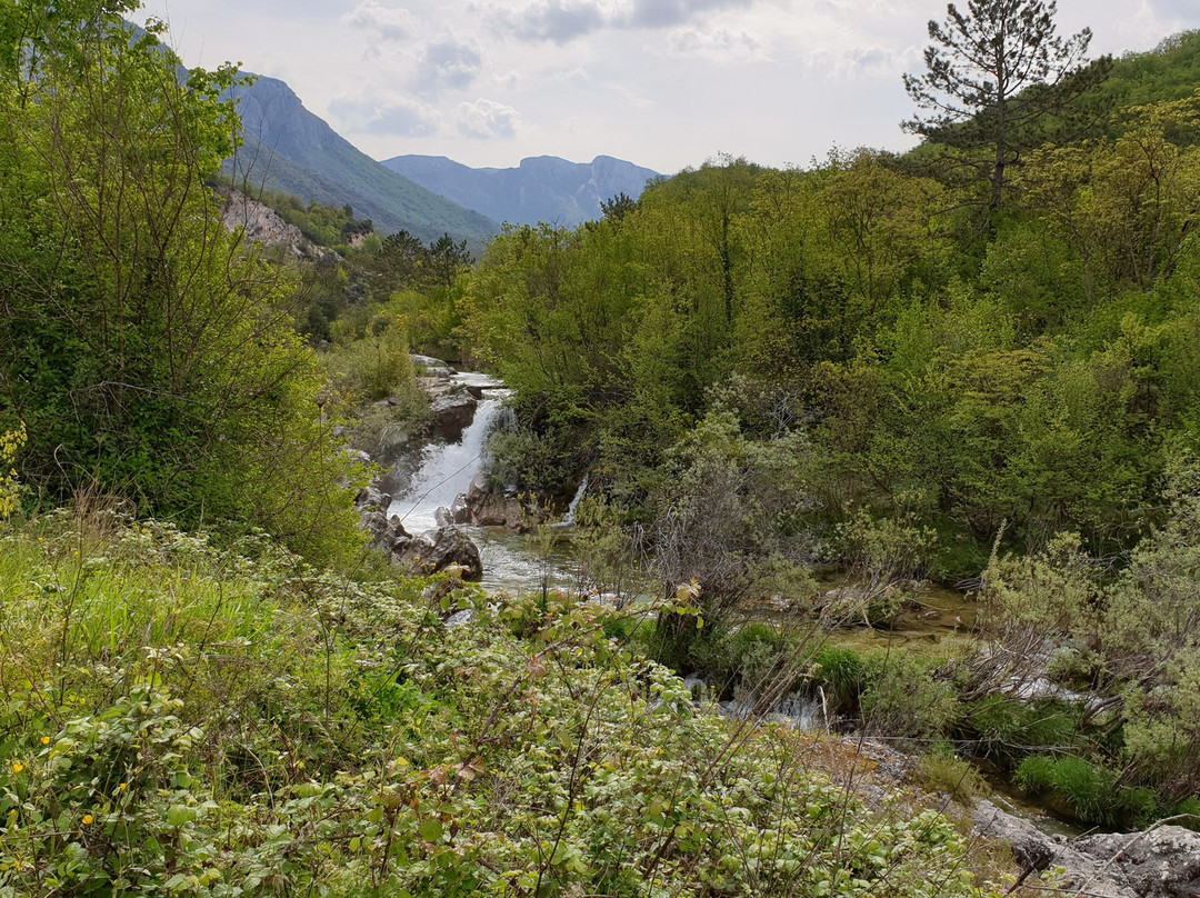 Jazina Club 1972主图