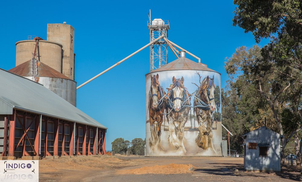 St James旅游景点-Goorambat Silo Art