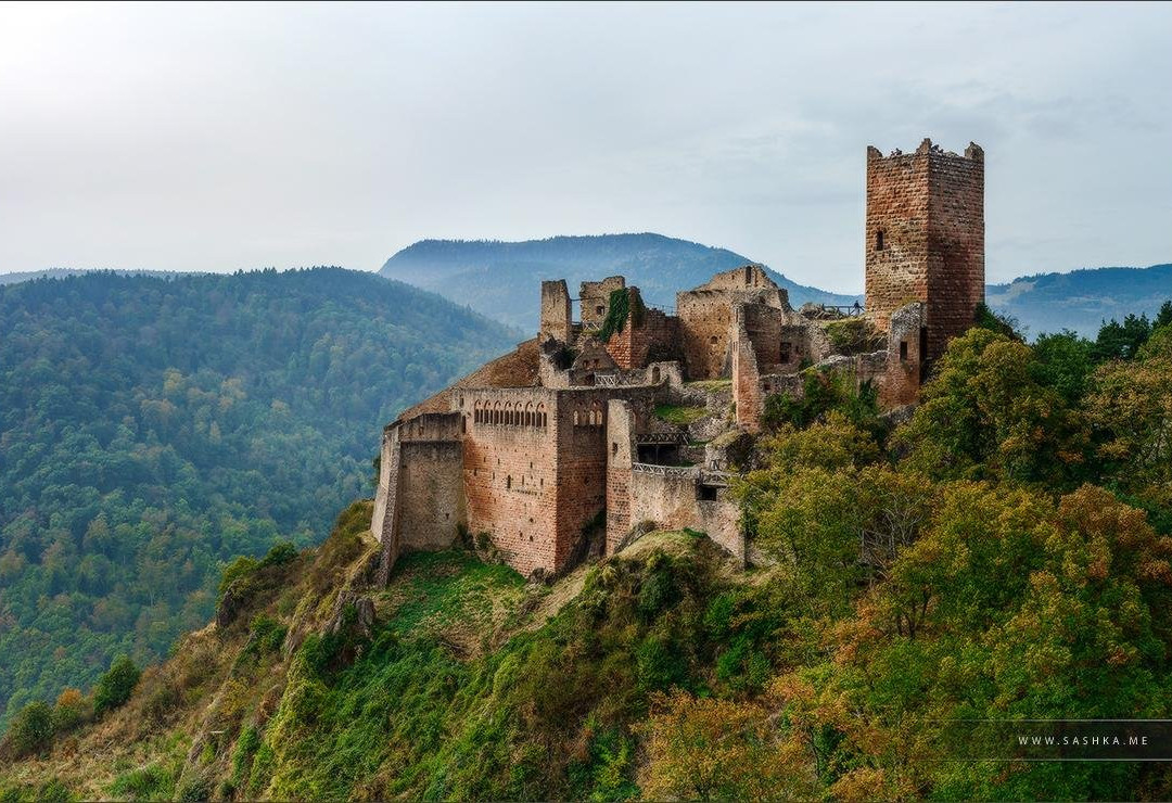 Black Forest Travel景点图片