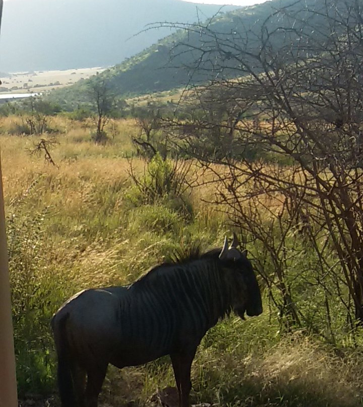 Pilanesberg National Park景点图片