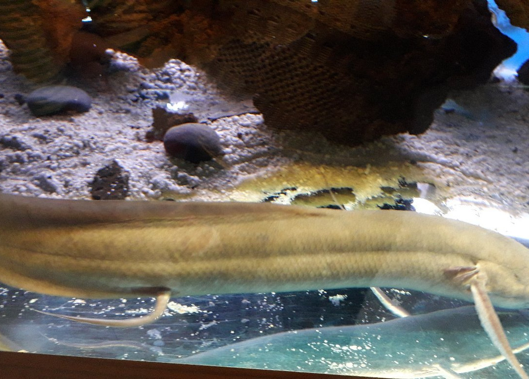 Zoo Acquario di Imola-伊莫拉必去景点