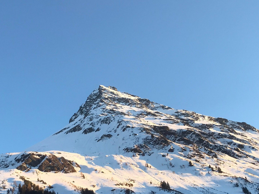 Alpenresidenz Ballunspitze - Kinderhotel主图