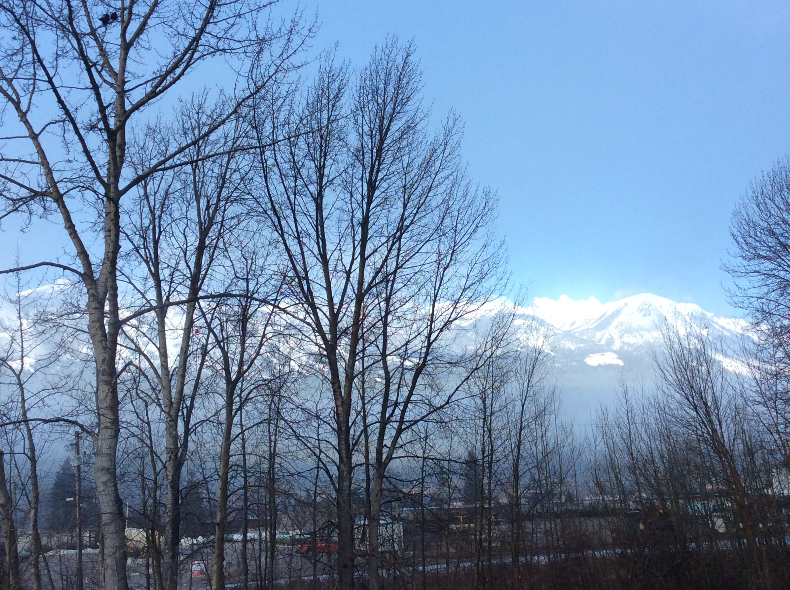 Best Western Mountainview Inn-酒店景观