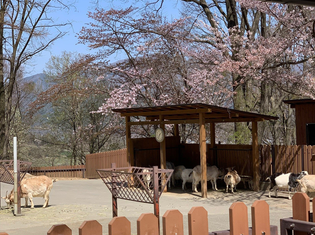 Matsumoto Alps Park-松本市必去景点