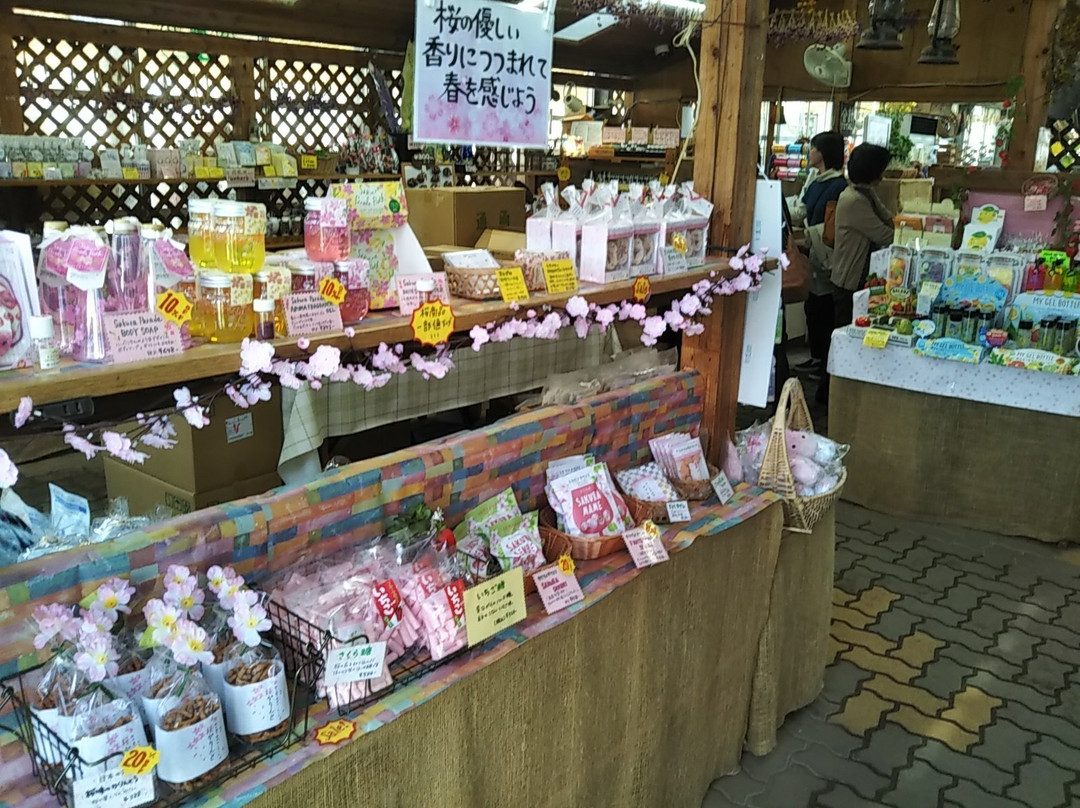 99 Stars Herb Garden-九十九里町 必去景点