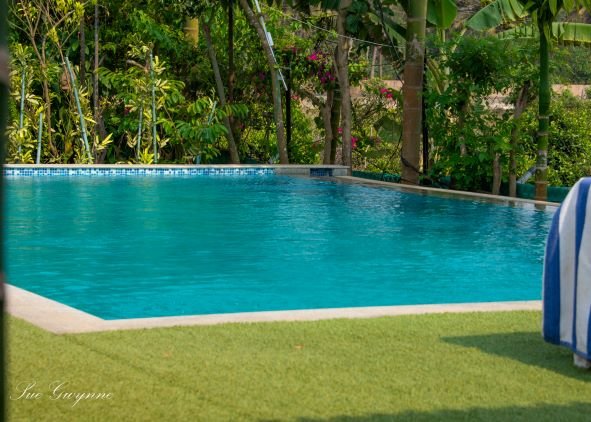 Go Green Spice & Eco Resort-泳池