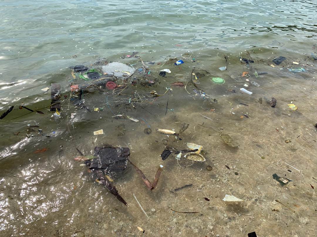 Teluk Nipah Lumut-红土坎必去景点