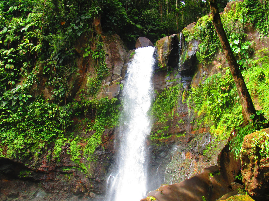Carbet Falls (Les Chutes du Carbet)景点图片