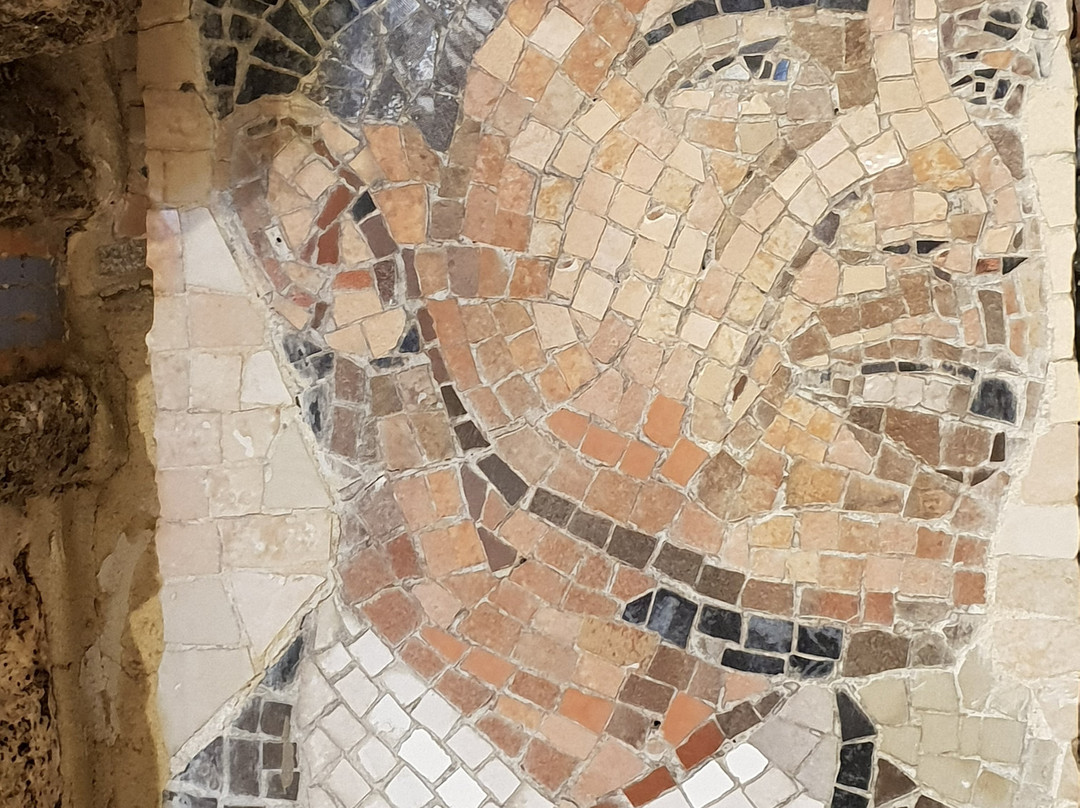 Museon Bit Hapsips Yefu-雅法必去景点