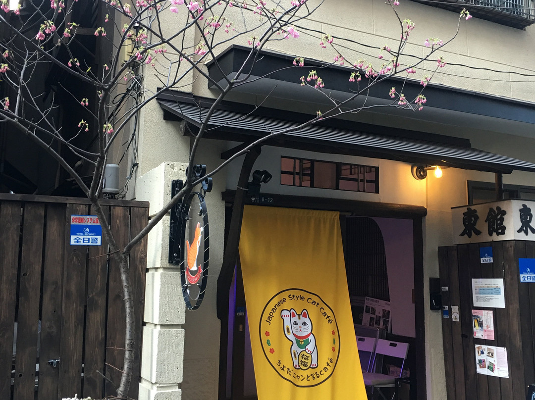 Chiyoda Nyan To Naru Cafe-千代田区必去景点