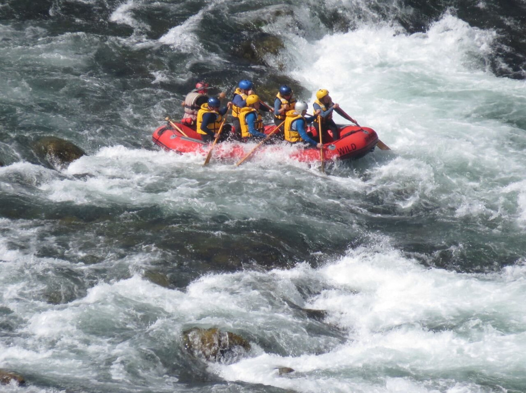 Wild rivers rafting景点图片