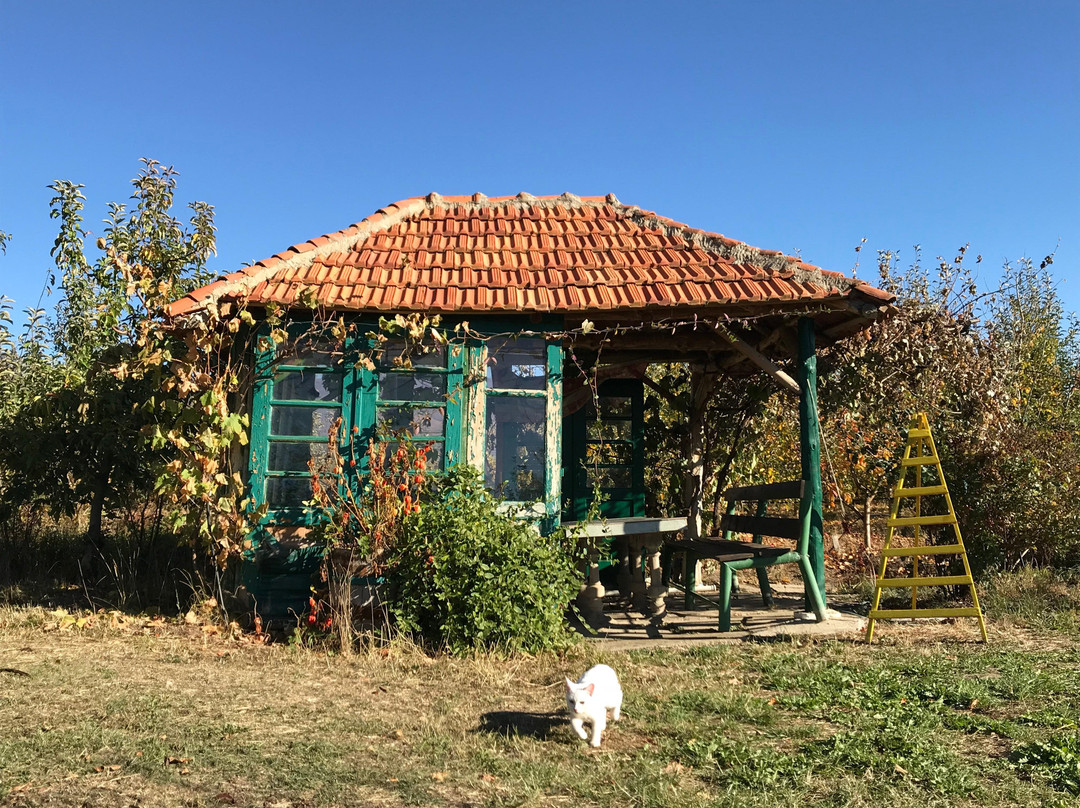Spirit of Prespa-Resen必去景点