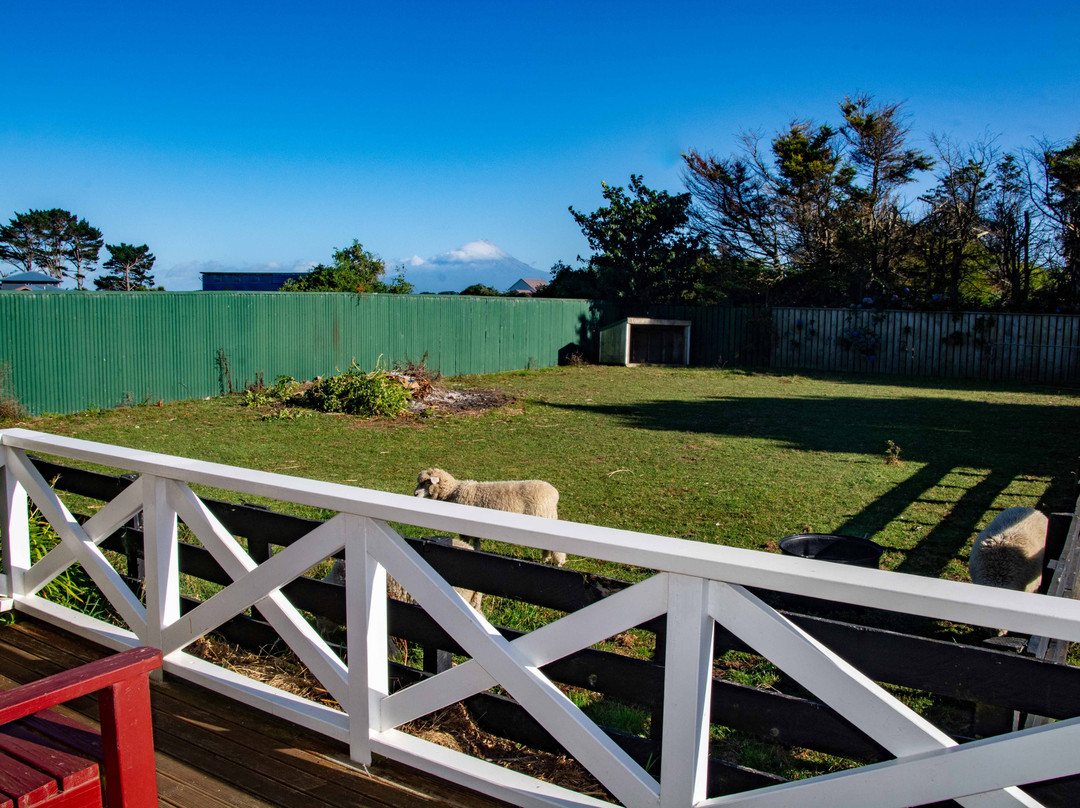 Kerry Lane Motel主图