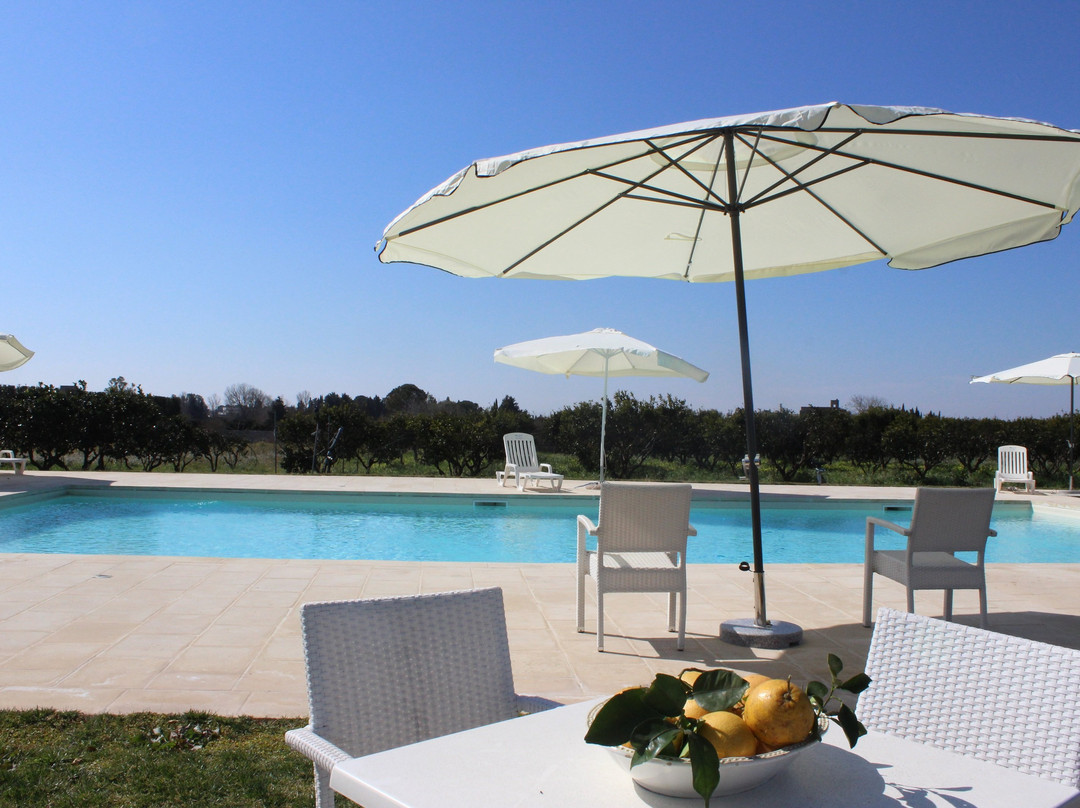 Tenuta Degli Agrumi主图