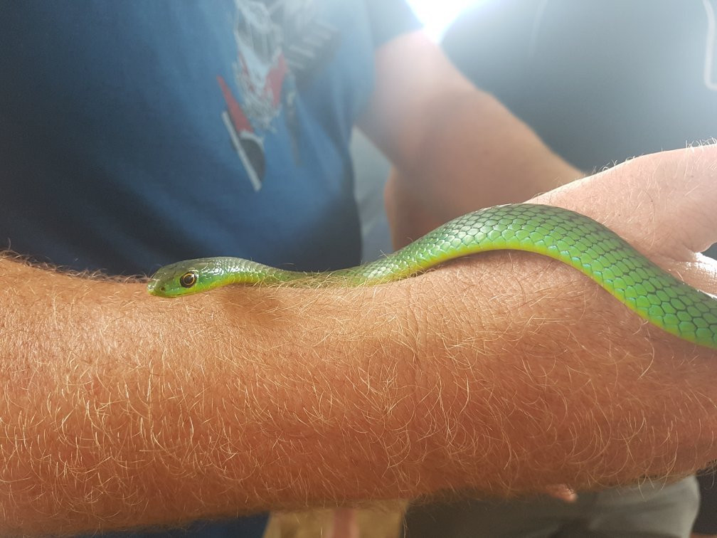 Ndlondlo Reptile Park-巴利托必去景点